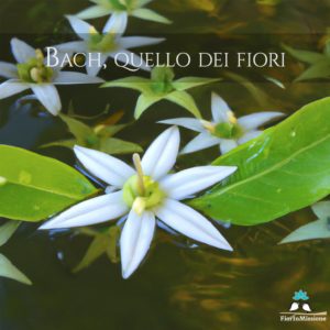 Bach, quello dei Fiori.